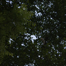 DSC00010.JPG