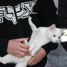 DSC00026.JPG