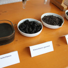 Umwelt Besichtigung ARA 2012 _7__jpg-1338971508