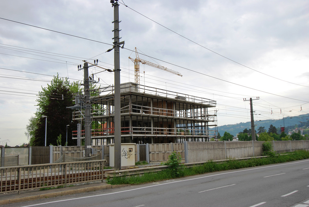 DSC_0008-1.jpg
