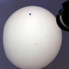 DAB1574-20120606.jpg