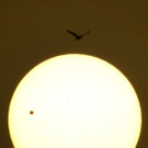 DAB1086-20120606.jpg