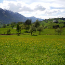 Das war das Maiwetter 2012