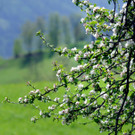 ABD0052-20120503.jpg