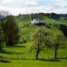 ABD0055-20120503.jpg