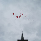 IMG_3490_JPG-1339005665