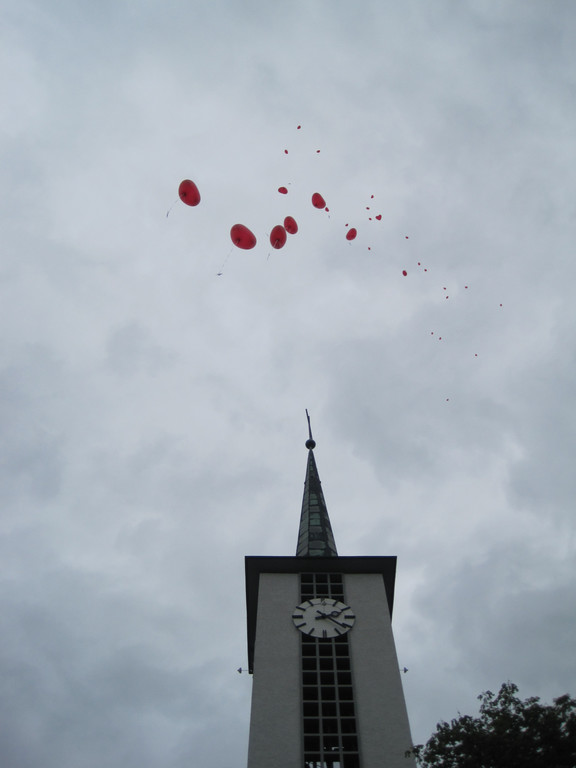 IMG_3490_JPG-1339005665