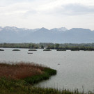 DSC01326.JPG