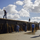 DAB3984-20120606.jpg