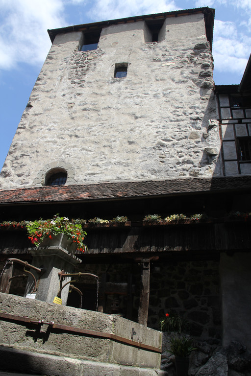 IMG_1192_JPG-1339075405