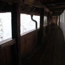 IMG_1197_JPG-1339075461