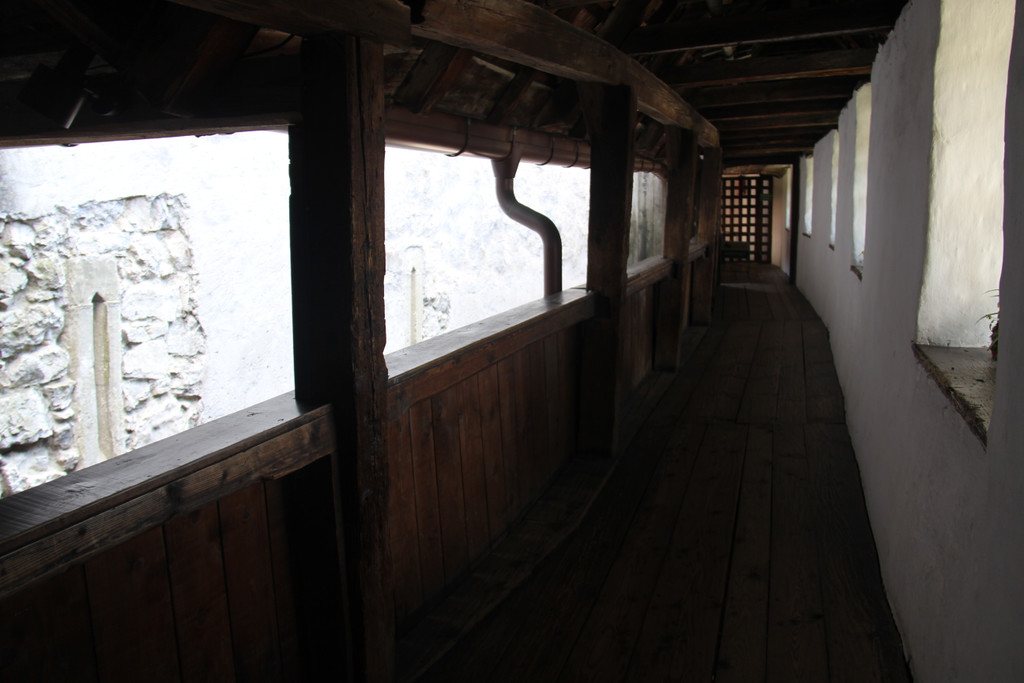 IMG_1197_JPG-1339075461