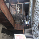 IMG_1196_JPG-1339075448