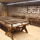 IMG_1206_JPG-1339075725