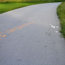 normal_07062012fmt_vumoped_ta_005.JPG