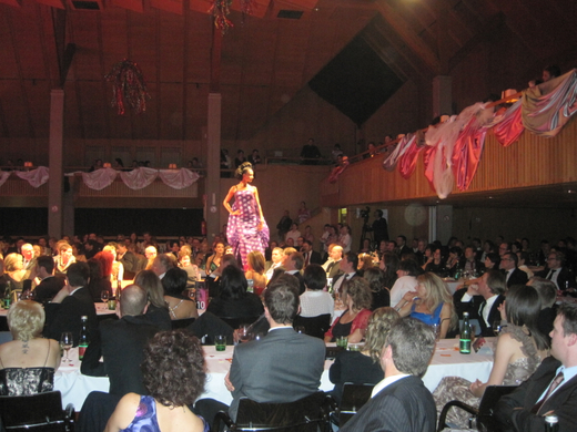 IMG_1354.JPG