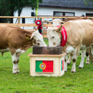 ABD0017-20120608.jpg