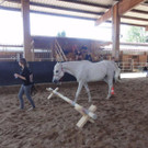 DSC04437 - Kopie_jpg-1339154009