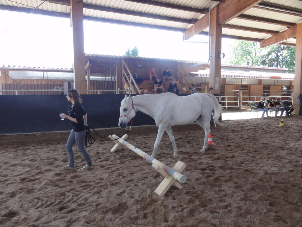 DSC04437_JPG-1339157400