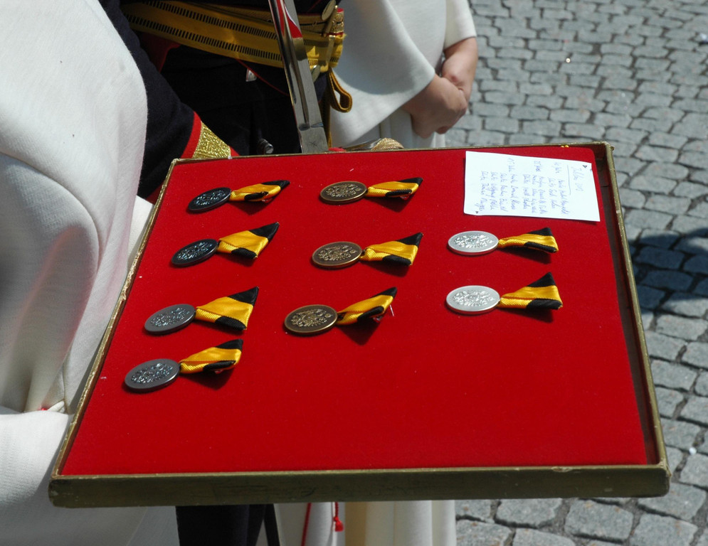 Ehrungen Medaillen_jpg-1339158873