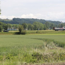 normal_08062012lkwvustgeorgenkriesknfaktivnews0005.JPG