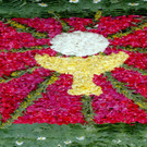 Blumenteppich Brot des Lebens  Kelch 06-2012_jpg-1339165795