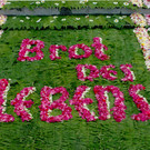 Blumenteppich Brot des Lebens 06-2012_jpg-1339165819