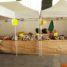 Piemontmarkt Hard 08_06_2012 18_jpg-1339166916