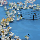 DAB3163-20120608.jpg