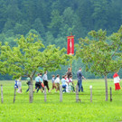 107.jpg
