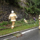 08062012wiestalunwetterat05007aktivnews_29.jpg