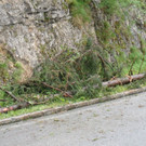 08062012wiestalunwetterat05007aktivnews_33.jpg