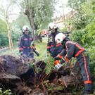 Bäume in Sbg entwurzelt