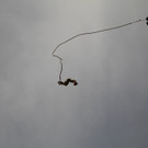 IMG_4200.JPG