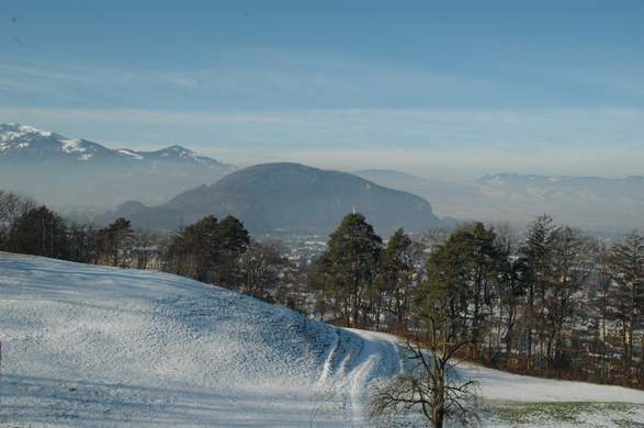 DSC_0401.JPG