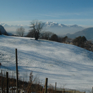DSC_0400.JPG