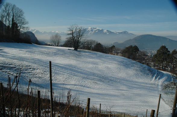 DSC_0400.JPG