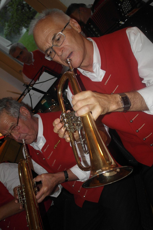 8_6_2012 D__mmerschoppen in W__lderhof Lingenau13.jpg