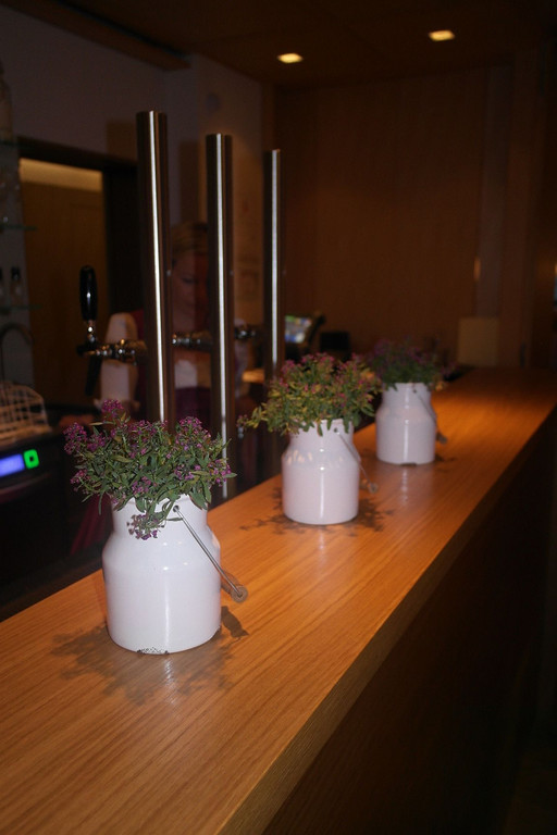 8_6_2012 D__mmerschoppen in W__lderhof Lingenau33.jpg