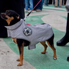 StarWars-7.jpg
