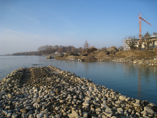 Arbeiten am See Baufortschritt _2_.jpg