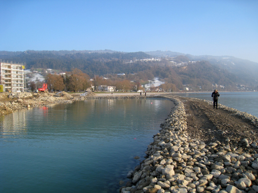 Arbeiten am See Baufortschritt _4_.jpg
