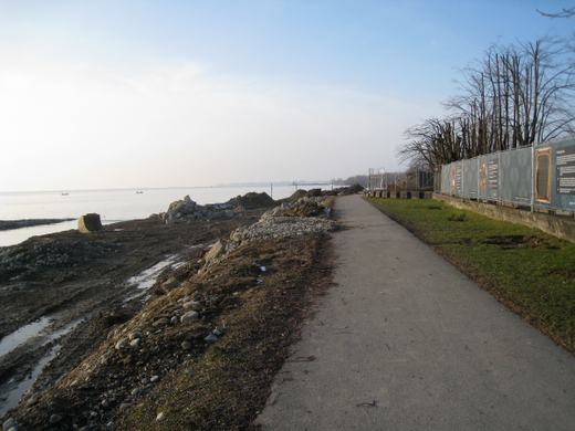 Arbeiten am See Baufortschritt _7_.jpg