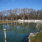 Arbeiten am See Baufortschritt _15_.jpg