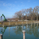 Arbeiten am See Baufortschritt _16_.jpg