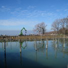 Arbeiten am See Baufortschritt _18_.jpg