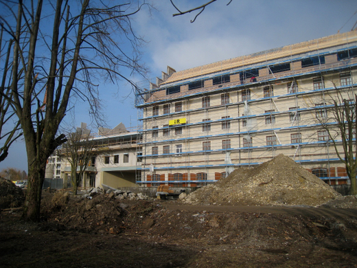 Arbeiten am See Baufortschritt _23_.jpg