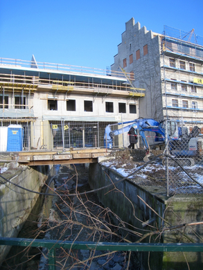 Arbeiten am See Baufortschritt _26_.jpg