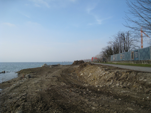 Arbeiten am See Baufortschritt _45_.jpg