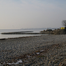 Arbeiten am See Baufortschritt _48_.jpg
